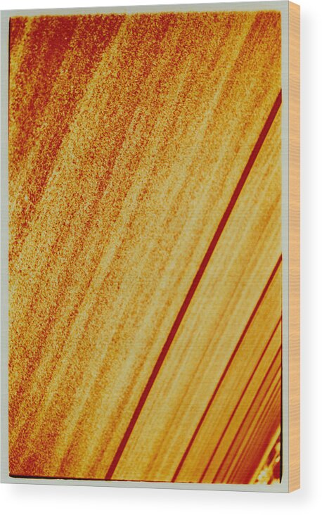 Abstract Wood Print featuring the photograph Sod by David Rivas