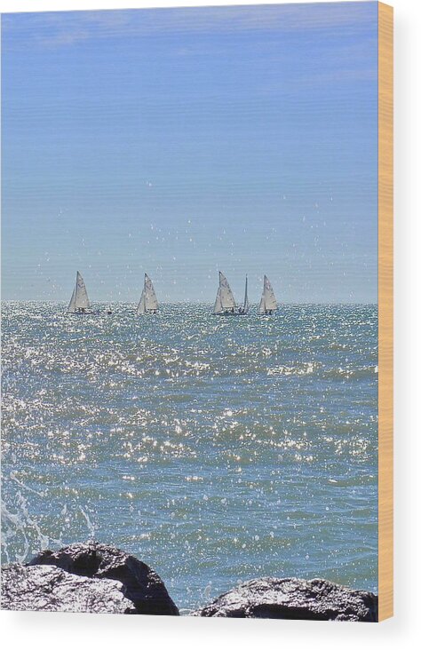 Sailboats Wood Print featuring the photograph Sparkling Water by Carol Bradley