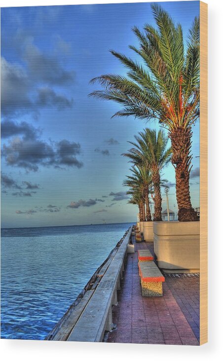 St Pete Wood Print featuring the photograph St. Petersburg Pier Tampa Bay by Timothy Lowry