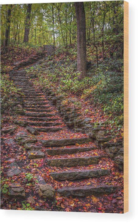 Stairs Wood Print featuring the photograph Stairs by Brad Bellisle