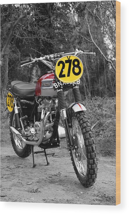 Isdt 1964 Wood Print featuring the photograph Steve McQueen ISDT Triumph by Mark Rogan