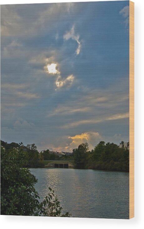 Herons Wood Print featuring the photograph Storm on the Horizon by Kathi Isserman