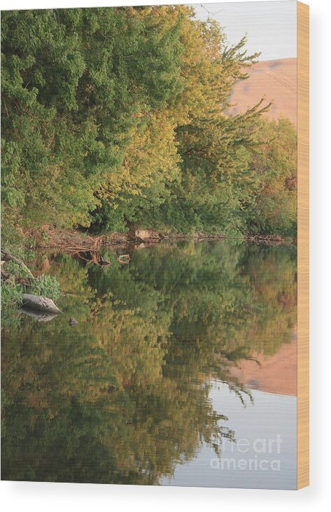Summer Wood Print featuring the photograph Summer Trees Sunset by Carol Groenen