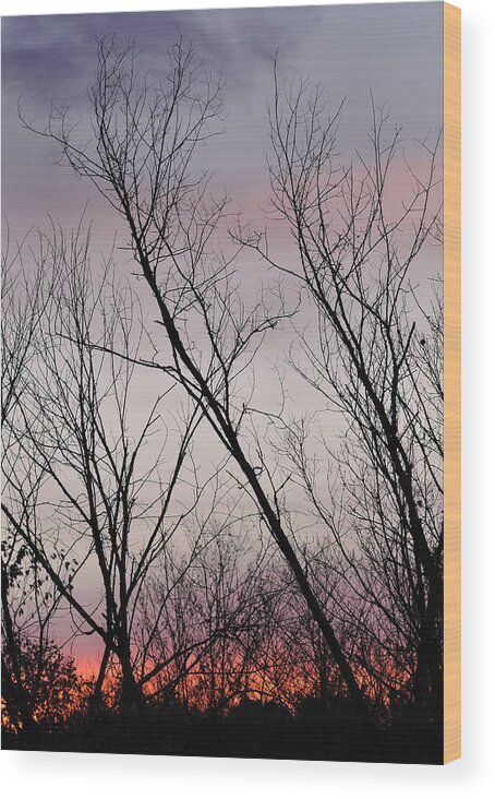 Sunrise Wood Print featuring the photograph Sunrise In Carmel by Frank Mari