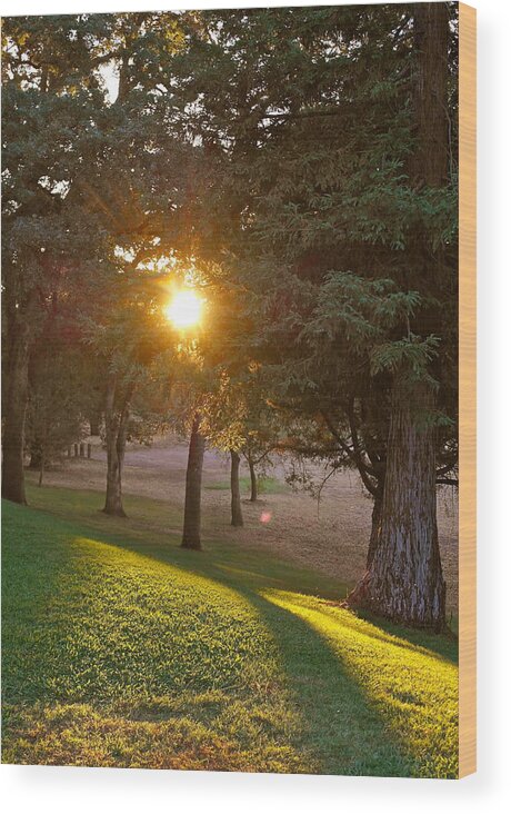 Sunset Wood Print featuring the photograph Sunset Retreat by Michele Myers