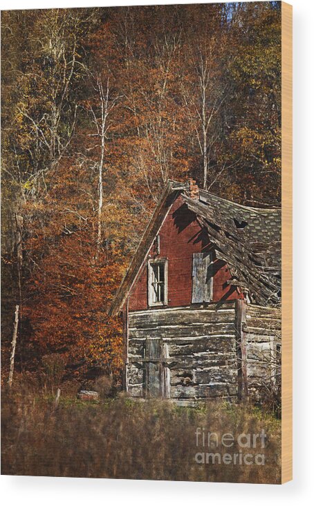 Nina Stavlund Wood Print featuring the photograph The Cabin in the Woods.. by Nina Stavlund