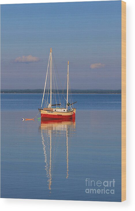 Boat Wood Print featuring the photograph The Lonely Sail Boat by Robert Pearson