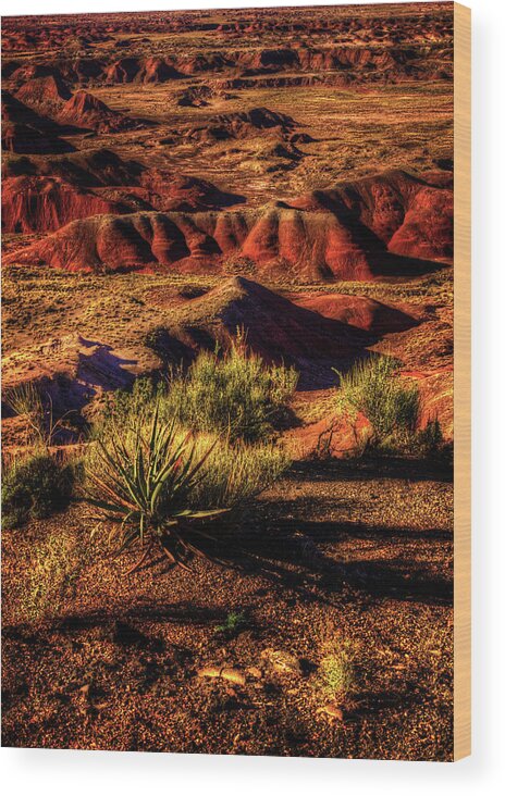 Arizona Wood Print featuring the photograph The Painted Desert from Kachina Point by Roger Passman