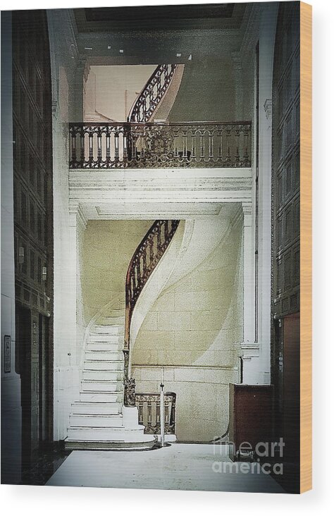 Stairs Wood Print featuring the photograph The Staircase by Jenny Revitz Soper