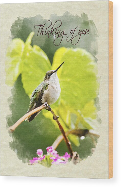 Thinking Of You Wood Print featuring the mixed media Thinking of You Hummingbird in the Rain Greeting Card by Christina Rollo