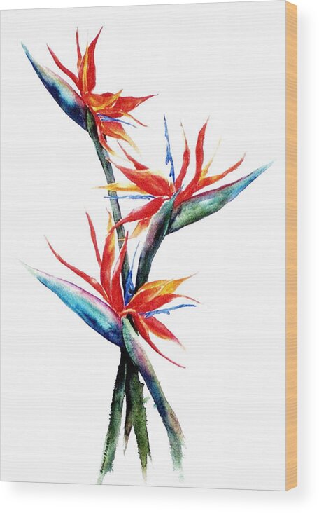 Floral Wood Print featuring the painting Three Birds by Suzanne Krueger