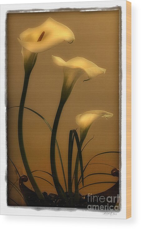 Flowers Wood Print featuring the photograph Three Lilies by Linda Olsen