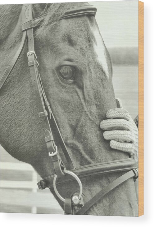 Bay Wood Print featuring the photograph TOUCH quote by Dressage Design