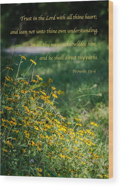 Proverbs 3:5-6 Wood Print featuring the photograph Trust In The Lord- Blackeyed Susans by Holden The Moment