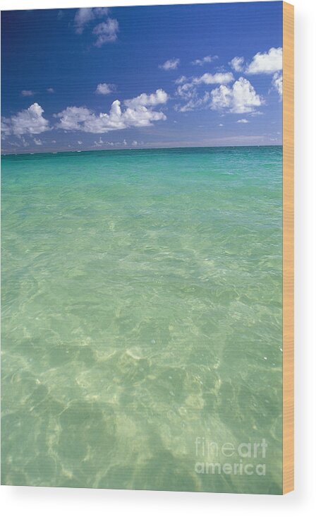 Afternoon Wood Print featuring the photograph Turquoise Ocean by Carl Shaneff - Printscapes