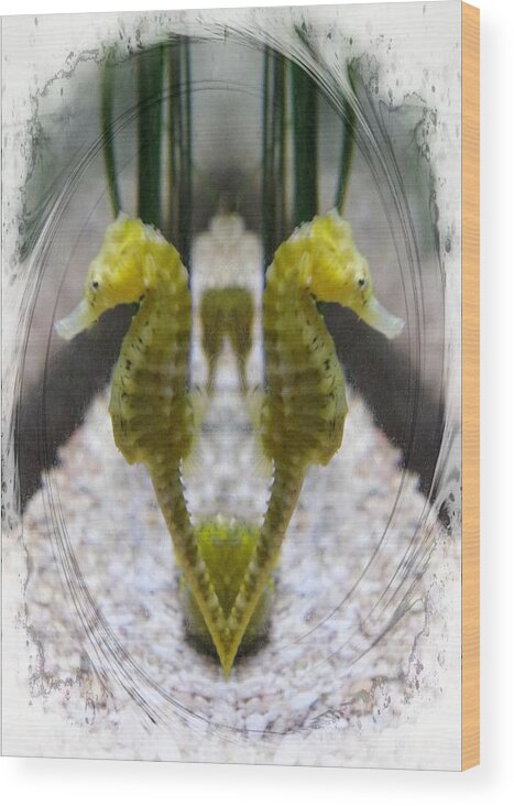 Sea Horse Wood Print featuring the photograph Under the Sea by Stoney Lawrentz