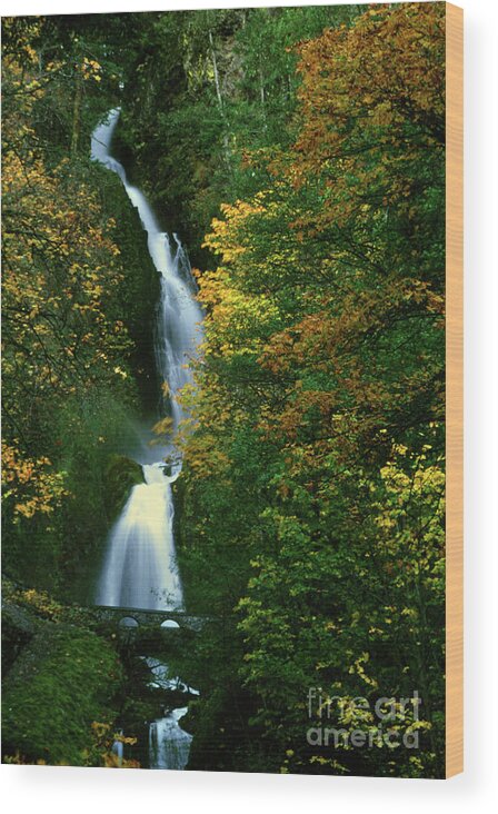 Images Wood Print featuring the photograph Wahkeena Falls waterfall by Rick Bures