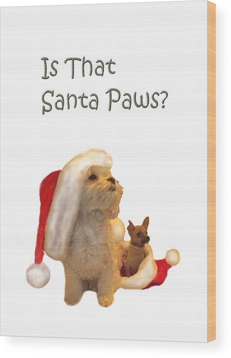 Christmas Wood Print featuring the photograph Waiting for Santa Paws by Joni McPherson