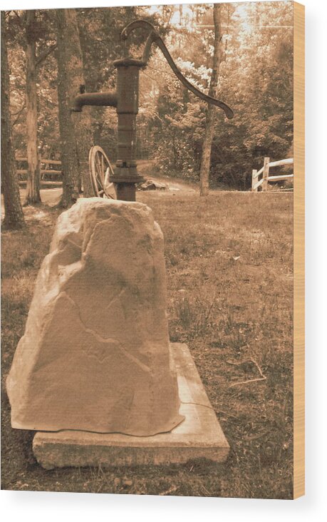 Water Wood Print featuring the photograph Water Pump by Cat Rondeau