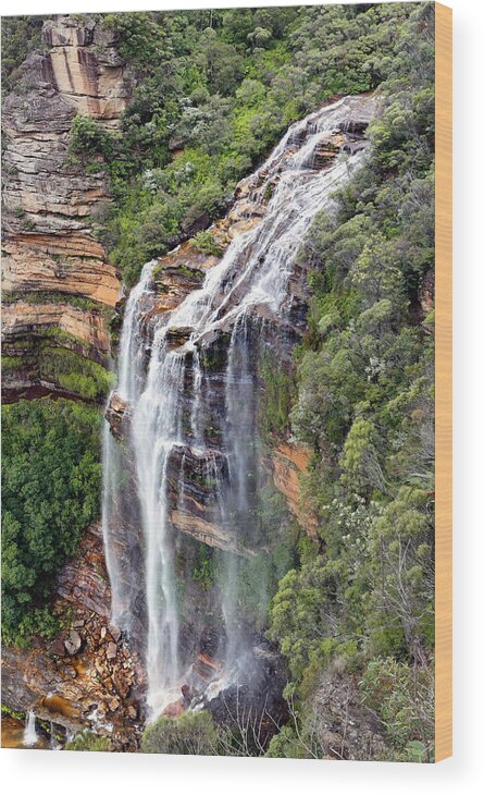 Wentworth Wood Print featuring the photograph Wentworth Falls by Nicholas Blackwell
