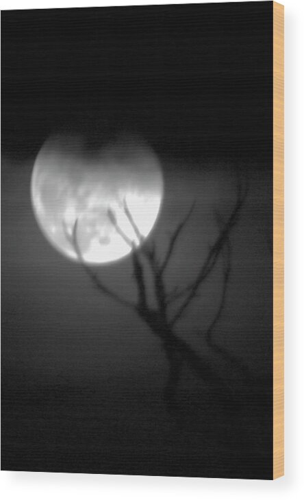 Photo For Sale Wood Print featuring the photograph Werewolf Moon by Robert Wilder Jr
