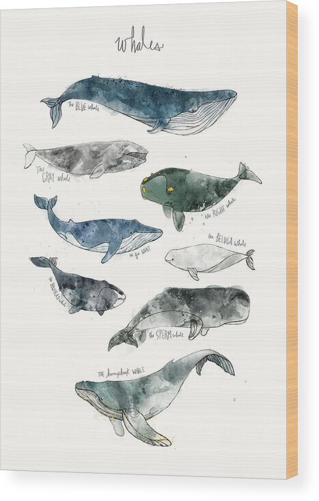 Whales Wood Print featuring the painting Whales by Amy Hamilton