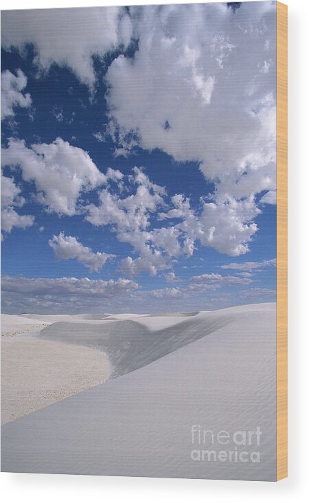 00340454 Wood Print featuring the photograph White Gypsum Dunes by Yva Momatiuk John Eastcott