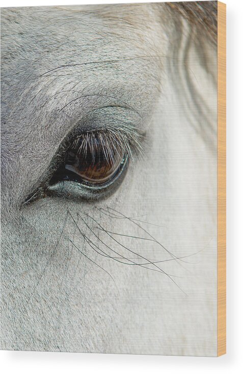 Horse Wood Print featuring the photograph White Horse Eye by Andreas Berthold
