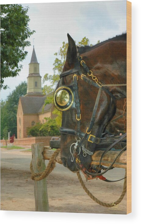 Horse Wood Print featuring the photograph Williamsburg Charm by Sam Davis Johnson