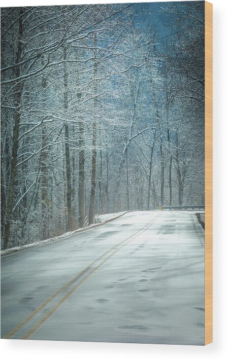 Winter Dreams Wood Print featuring the photograph Winter Dreams by Karen Wiles