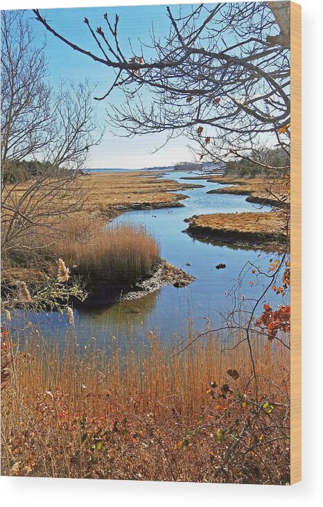 Marsh Wood Print featuring the photograph Winter Marsh by Nautical Chartworks