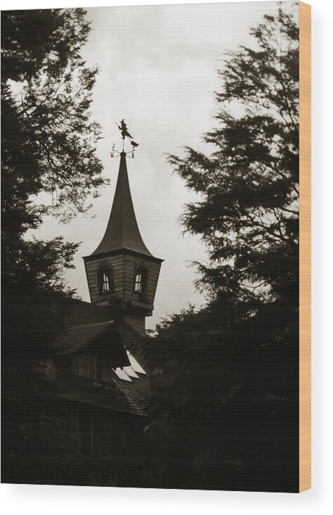 Mistery Wood Print featuring the photograph Witch House by Amarildo Correa