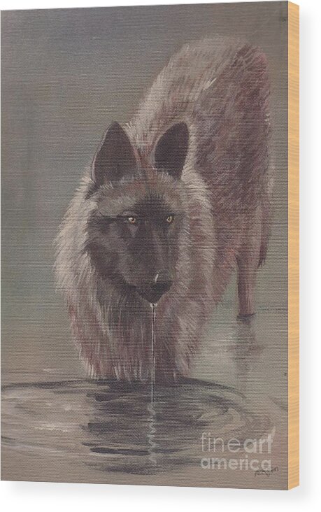 Animal Wood Print featuring the painting Wolf Drinking by Morgan Fitzsimons