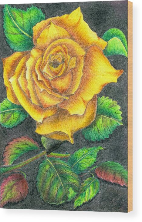 Flower Wood Print featuring the drawing Yellow rose by Tara Krishna