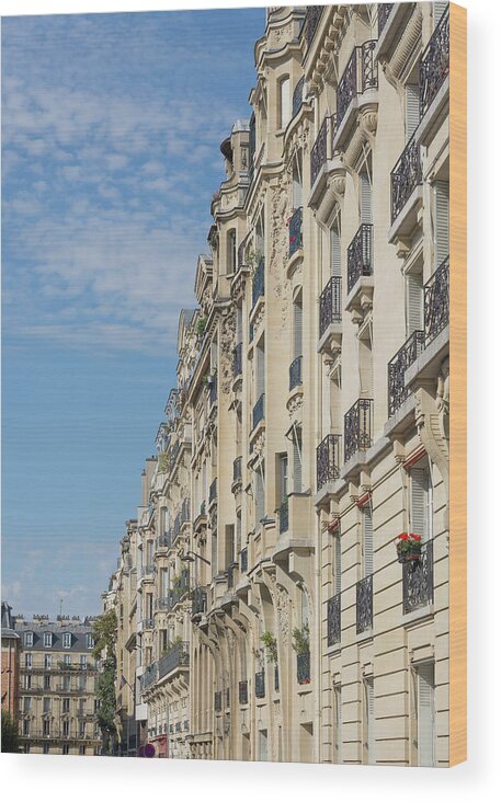 Paris Wood Print featuring the photograph Parisian Buildings by Liz Albro