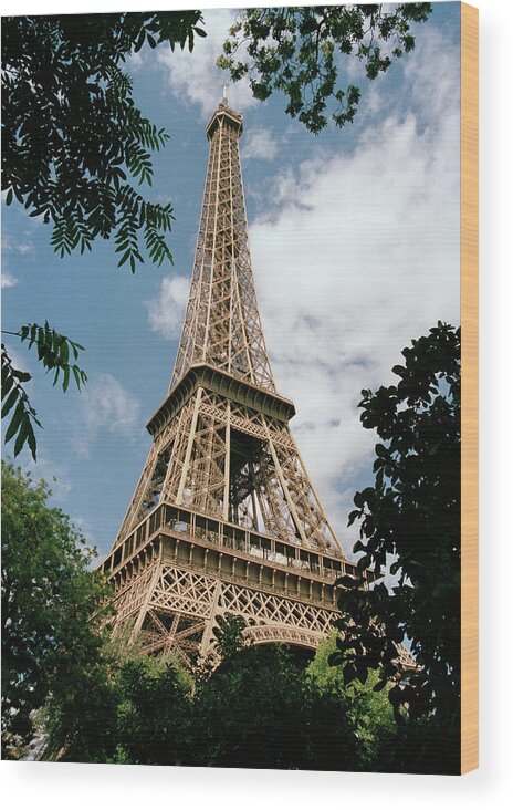 Built Structure Wood Print featuring the photograph The Eiffel Tower, Paris #1 by Martin Diebel