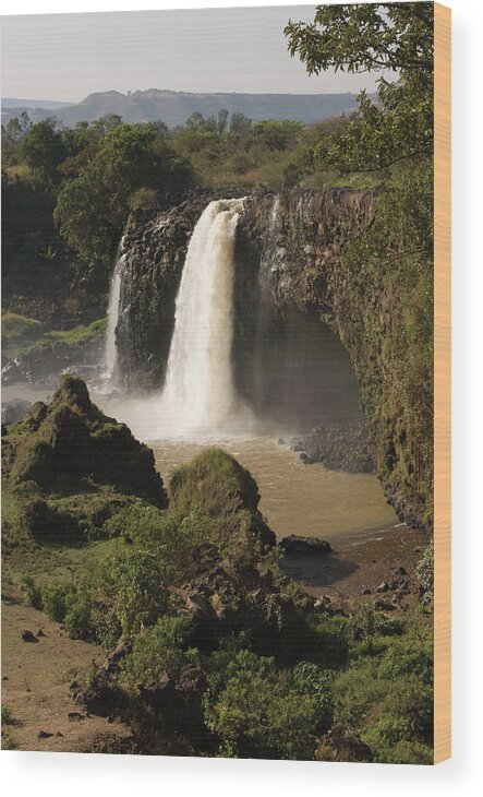 Tranquility Wood Print featuring the photograph Blue Nile Falls Landscape #2 by John Elk