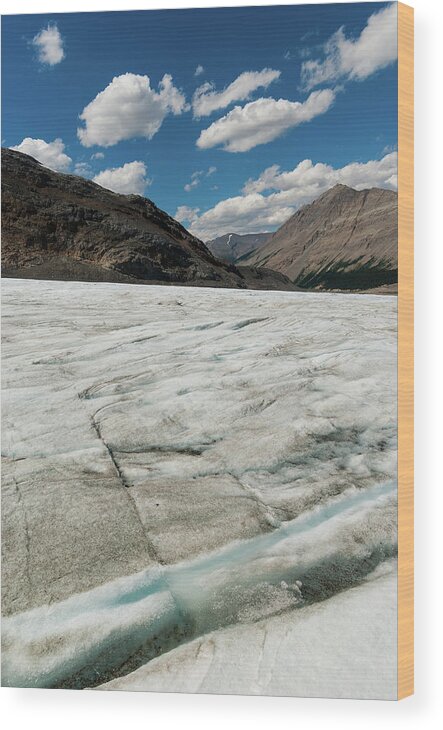 Scenics Wood Print featuring the photograph Athabasca Glacier #4 by John Elk Iii