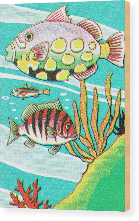 Animal Wood Print featuring the drawing Fish #43 by CSA Images