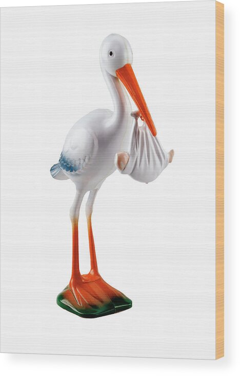 Animal Wood Print featuring the drawing Stork Holding Baby #5 by CSA Images