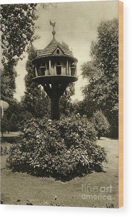 Regents Park Wood Print featuring the drawing A Dovecote - In The Garden Of Dowager by Print Collector