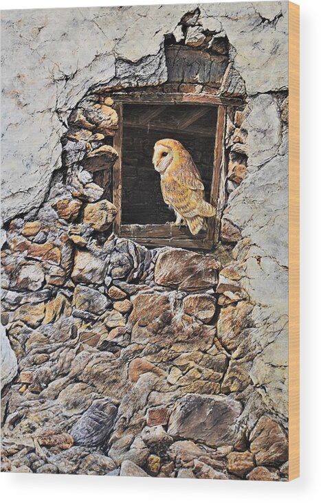 Barn Owl Wood Print featuring the painting A New Home Barn Owl by Alan M Hunt