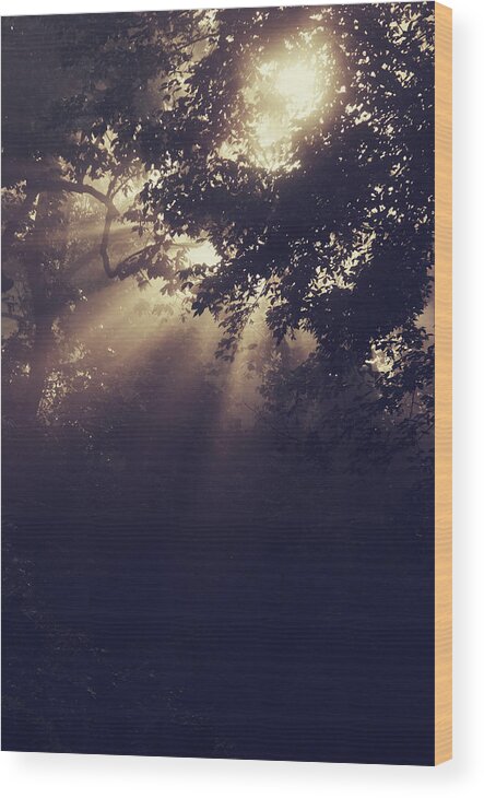 Sun Beams Wood Print featuring the photograph Angels Called Home by Michelle Wermuth