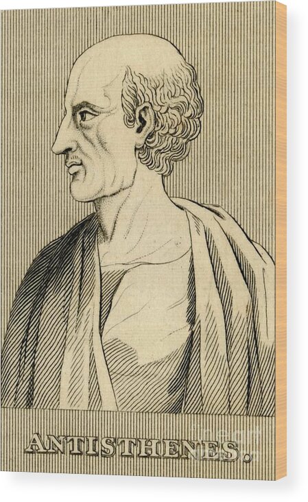 Engraving Wood Print featuring the drawing Antisthenes by Print Collector