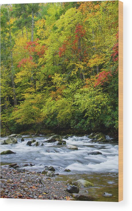 Autumn Wood Print featuring the photograph Autumn Stream by Larry Bohlin