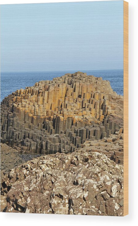 Scenics Wood Print featuring the photograph Basalt Column Formation by Daniela Duncan