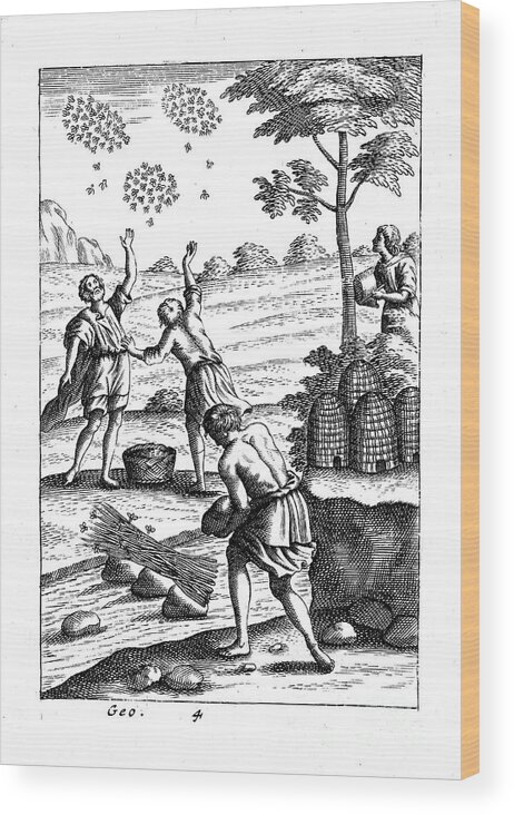 Engraving Wood Print featuring the drawing Beekeepers Preparing To Take A Swarm by Print Collector