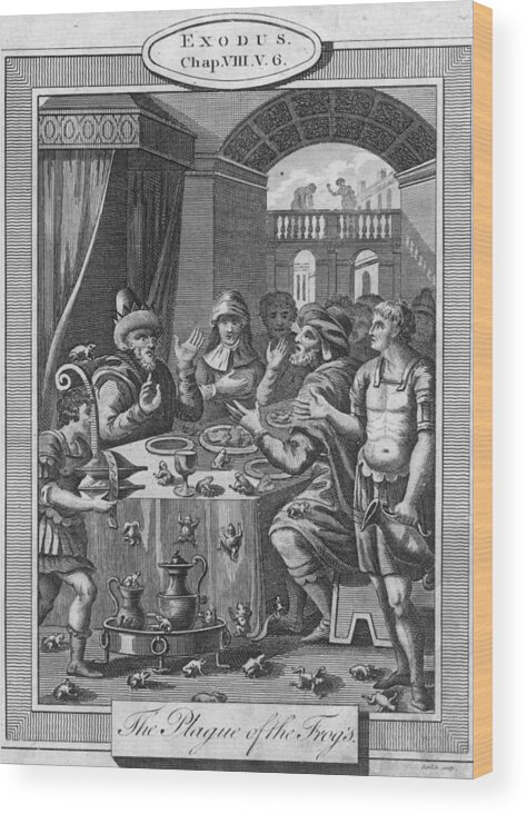Dining Room Wood Print featuring the digital art Biblical Plague by Hulton Archive