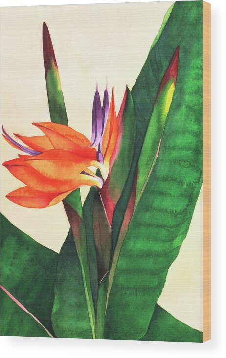 Bird Of Paradise Flower Wood Print featuring the painting Bird Of Paradise by Mary Russel