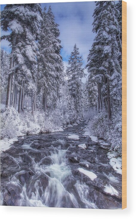 Winter Wood Print featuring the photograph Blue and White by Judi Kubes
